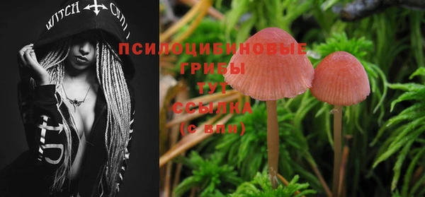 spice Абдулино