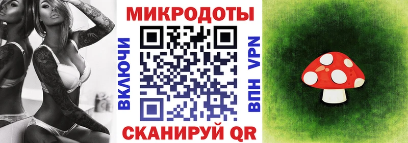 купить наркотик  Тбилисская  Псилоцибиновые грибы Psilocybe 